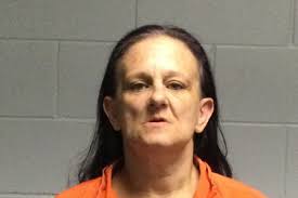 13 arrested in Polk County following theft, drug investigations