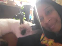 National hug your cat day. Barney Rocket is just too cute not to hug  everyday