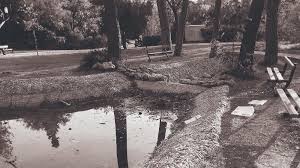 Check spelling or type a new query. Aytopsia Sto Pedion Toy Arews Parabatikothta Kai Egkataleipsh Eikones