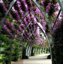 Beautiful Spaces And Places Beautiful Gardens Landscape Garden Planning