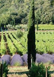 Les Plus Belles Plages Du Var Chateau Vin Paysage Agricole Table En Bois Naturel