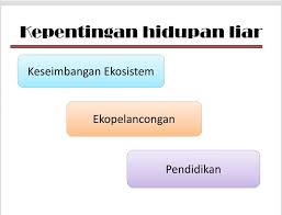 Malaysia barat terletak di semenanjung malaka (asia), dan malaysia timur ada di kalimantan suatu negara yang menerapkan kebijakan yang bertujuan melindungi kepentingan dalam negeri kehidupan sosial sangatlah dinamis. Geografi Pt3 Bab 5 Hidupan Liar Di Malaysia Kredit Facebook