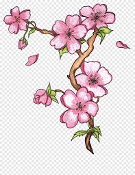 Membuat sketsa sendiri merupakan langkah awal yang perlu dilakukan yang mana sketsa. Menggambar Sketsa Bunga Grafis Bunga Merangkai Bunga Pensil Png Pngegg