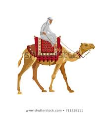Do not choose the wrong farm! Arab Man Riding Camel Vector Illustratio 365494 Png Images Pngio