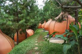 Try new sensation contact us : Camping The Lodge Maribaya Pergidulu Com