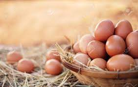 Vous y trouverez les meilleures pièces uniques ou personnalisées de nos paniers boutiques. Oeufs De Poule De Qualite Bio Dans Le Panier Oeuf Dans Le Panier Beaucoup D Oeufs De Poulet Frais Dans Le Panier Avec De La Paille Oeuf Sur Fond De Lever De Soleil