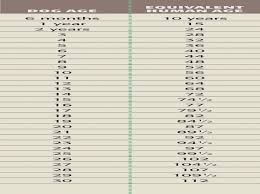 dog age chart dog years to human years dog years