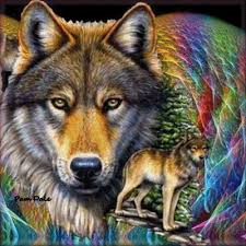 Rainbow Wolf Orig Gif 400 400 Beautiful Wolves Animals Wolf Art