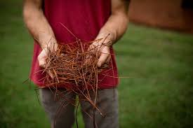 $80 per hour for additional hours. Pine Straw Store Pine Straw Mulch Pine Needles Mulch