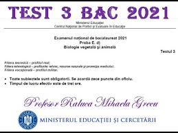 Anatomie si fiziologie umana, genetica si ecologie si biologie vegetala si animala. Rezolvare Test 3 Bacalaureat 2021 Biologie Vegetala Si Animal Youtube