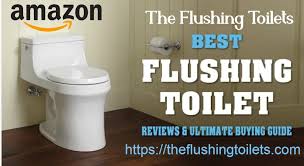 As an amazon associate i earn from qualifying purchases. Best Flushing Toilets On Amazon Home Facebook