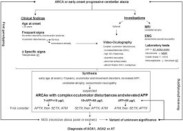 Who can access the online application for reporting? Comparing Ataxias With Oculomotor Apraxia A Multimodal Study Of Aoa1 Aoa2 And At Focusing On Video Oculography And Alpha Fetoprotein Scientific Reports