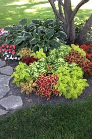 15 Awesome Shade Garden Ideas Go Travels Plan Cheap Landscaping Ideas Backyard Landscaping Designs Front Yard Landscaping Design