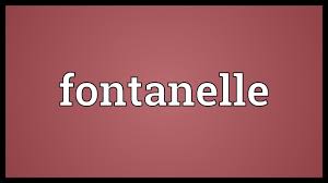 Fontanelle Meaning Youtube