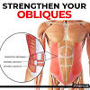 Shah rukh khan most people have 8 muscle bellies making up their rectus abdominis muscle, though some have as few as 4 and some have as many it is normal but i would say that you have very rare genetics. 1
