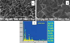 Image result for Heinsia