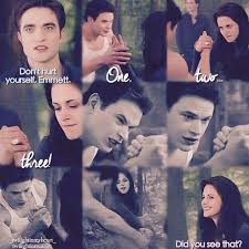 Pin By Skye Blue On The Twilight Saga Twilight Funny Twilight Film Twilight Saga Quotes