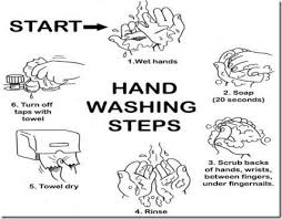 Kitchen Safety Google Search Proper Hand Washing Hand Washing Hand Hygiene