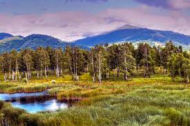 Die transalpina, auch als drum național 67c (rumänisch für „nationalstraße 67c, kurz dn67c) bezeichnet, ist eine touristisch bedeutsame straße in rumänien. Transalpina Transfagarasan Rumanien Fotos Motorradtouren