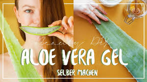 Aloe vera bitkisinin yapraklarında bulunan bu mucizevi jeli çıkarmak için bir bıçak yardımıyla iki olgun aloe vera yaprağını uzunlamasına kesin. Aloe Vera Gel Selber Machen 3 Einfache Beauty Diys 100 Naturlich Youtube