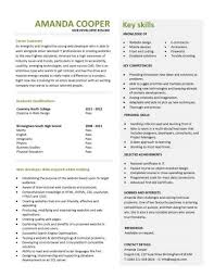 Web developer resume samples with headline, objective statement, description and skills examples. Student Entry Level Web Developer Resume Template