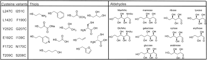 The characters in the string are considered to . Fig 2 Extending Enzyme Molecular Recognition With An Expanded Amino Acid Alphabet Pnas