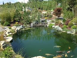 Pin Na Doske Zahradni Jezirka