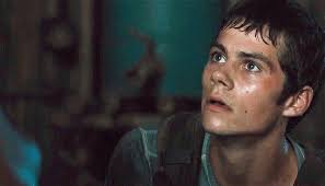 MAZE RUNNER Imagines