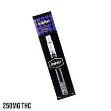 Blueberry THC Disposable Vape Pen | 250mg THC | Dickpunch