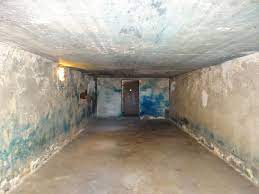 Wählen sie aus erstklassigen inhalten zum thema gas chamber in höchster qualität. Gas Chamber Wikipedia