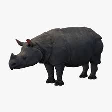 The software is commonly used for. Javan Rhinoceros 3d Modell Turbosquid 1239887