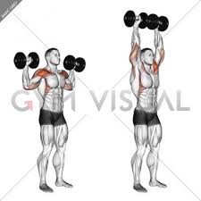 Dumbbell Standing Overhead Press Shoulder Press Shoulder Press Workout Overhead Press