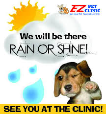 Eustis, fl · umatilla, fl. Low Cost Pet Vaccinations Houston Petswall