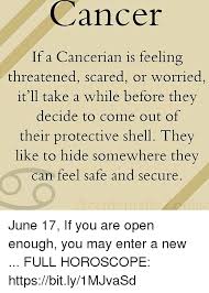 Cancer is one of the most wonderful astrological signs, and those who are born under it are known to be very caring, passionate, and intuitive. Cancer If A Cancerian Is Feeling Threatened Scared Or Worried It Ll Take A While Before They Decide To Come Out Of Their Protective Shell They Like To Hide Somewhere They Can Feel