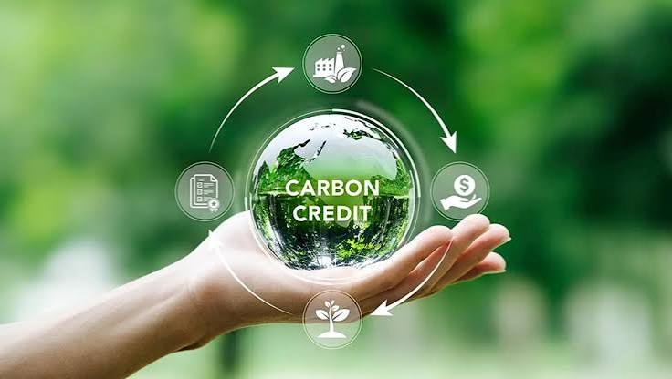Phát triển tín chỉ carbon từ ngành dừa và nhu cầu logistics