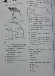 Printable science worksheets for 4th grade. The City School Grade 4 Science Reinforcement Worksheets