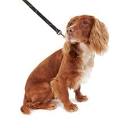 Barbour Tartan Dog Leash | Uncrate Supply