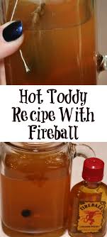 hot toddy recipe with fireball cook