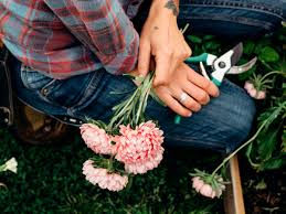 Dreamstime is the world`s largest stock photography community. These Women Farmers Are Leading A New Generation Of Flower Power Sunset Magazine