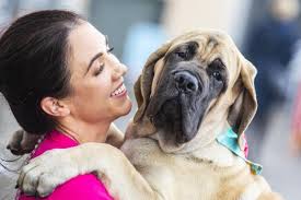 The week in pictures: Ireland — October 29, 2023