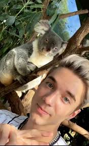 Daniel Koala Australia Content Why Dont We Boys Koala Why Dont We Band