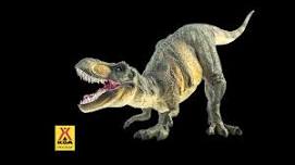 Dinosaur Weekend