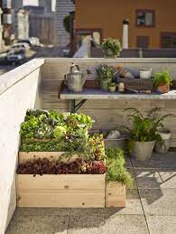 If you're about to paint your walls or simply have a new flat pack system installed, here are a few of the most useddiy. 7 Expert Tips For Rooftop Gardening Williams Sonoma Taste Rooftop Garden Urban Garden Design Urban Garden