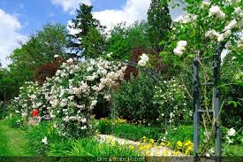 Rendez Vous Aux Jardins 2019 Au Jardin Des Bienfaites A Brie Comte Robert Jardins Parc Et Jardin Verdure