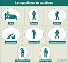 Les symptomes du paludisme