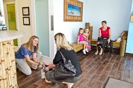 By placing value on customer service, client education, and honest communication, our team desires to help each pet owner achieve the most out of the human animal. Island Animal Hospital 11 Photos Veterinarians 5380 Stadium Pkwy Viera Fl Phone Number Yelp