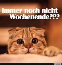 Immer Noch Nicht Wochenende Lustige Bilder Wochenende Lustig