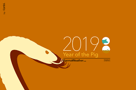 Snake 2019 Chinese Horoscope Snake 2019 Predictions Karmaweather Chinese Zodiac Snake Horoscope Chinese Zodiac Signs