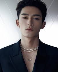 ヴオン・ティン・ヴィエットは「マック・ヴ・ヴァン・ジャン」以降、継続的にスキャンダルに巻き込まれている