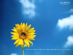Wallpaper pastel iphone wallpaper yellow aesthetic pastel wallpaper mood wallpaper cute disney wallpaper sunflower yellow tumblr aesthetic wallpapers top free sunflower. Free Download Bible Verse Desktop Wallpapers 1024x768 For Your Desktop Mobile Tablet Explore 75 Verses Background Bible Quotes Wallpapers Desktop
